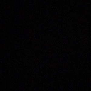 Meet your Posher, Abigail